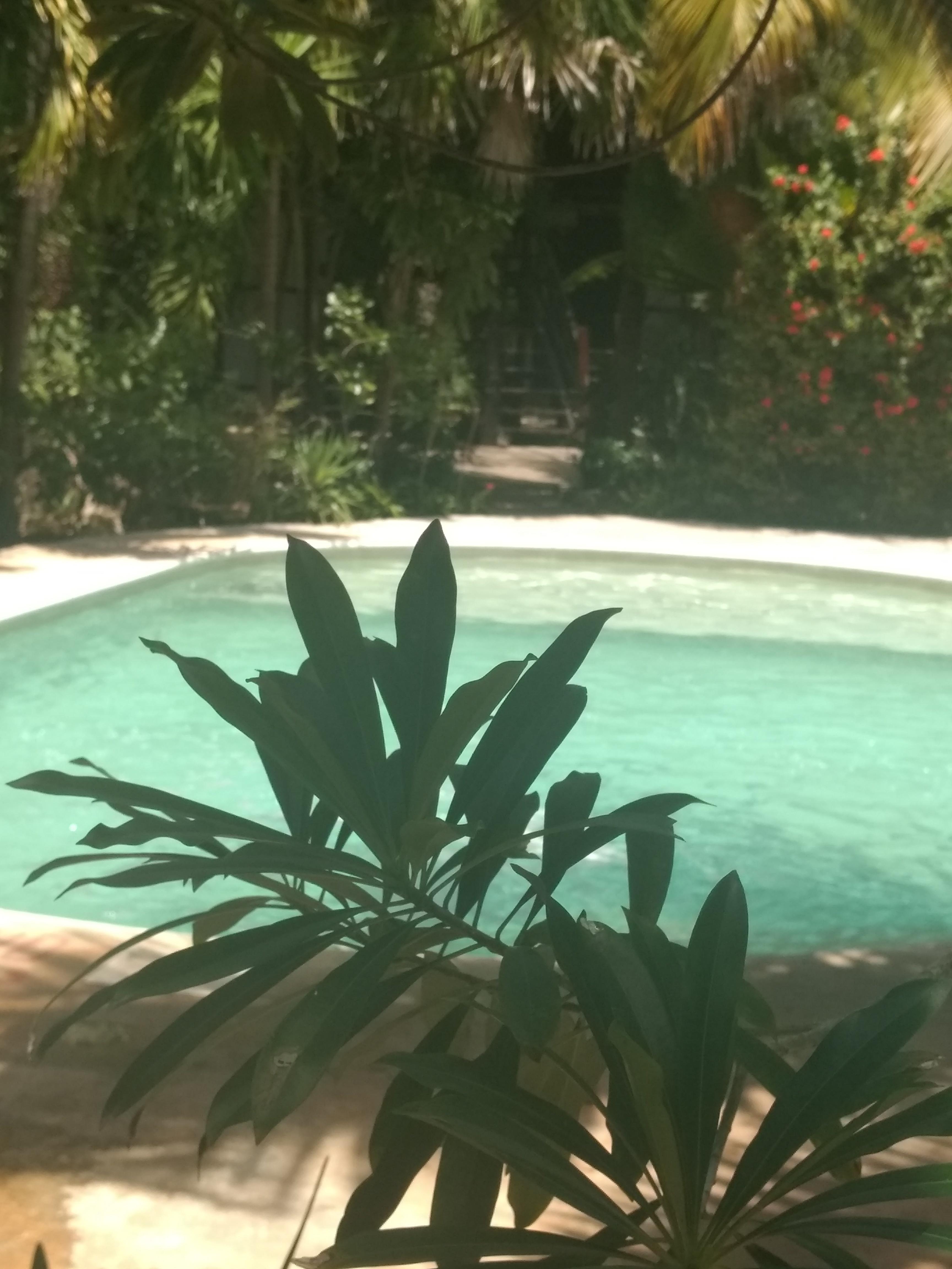 Green Tulum Cabanas & Gardens Luaran gambar