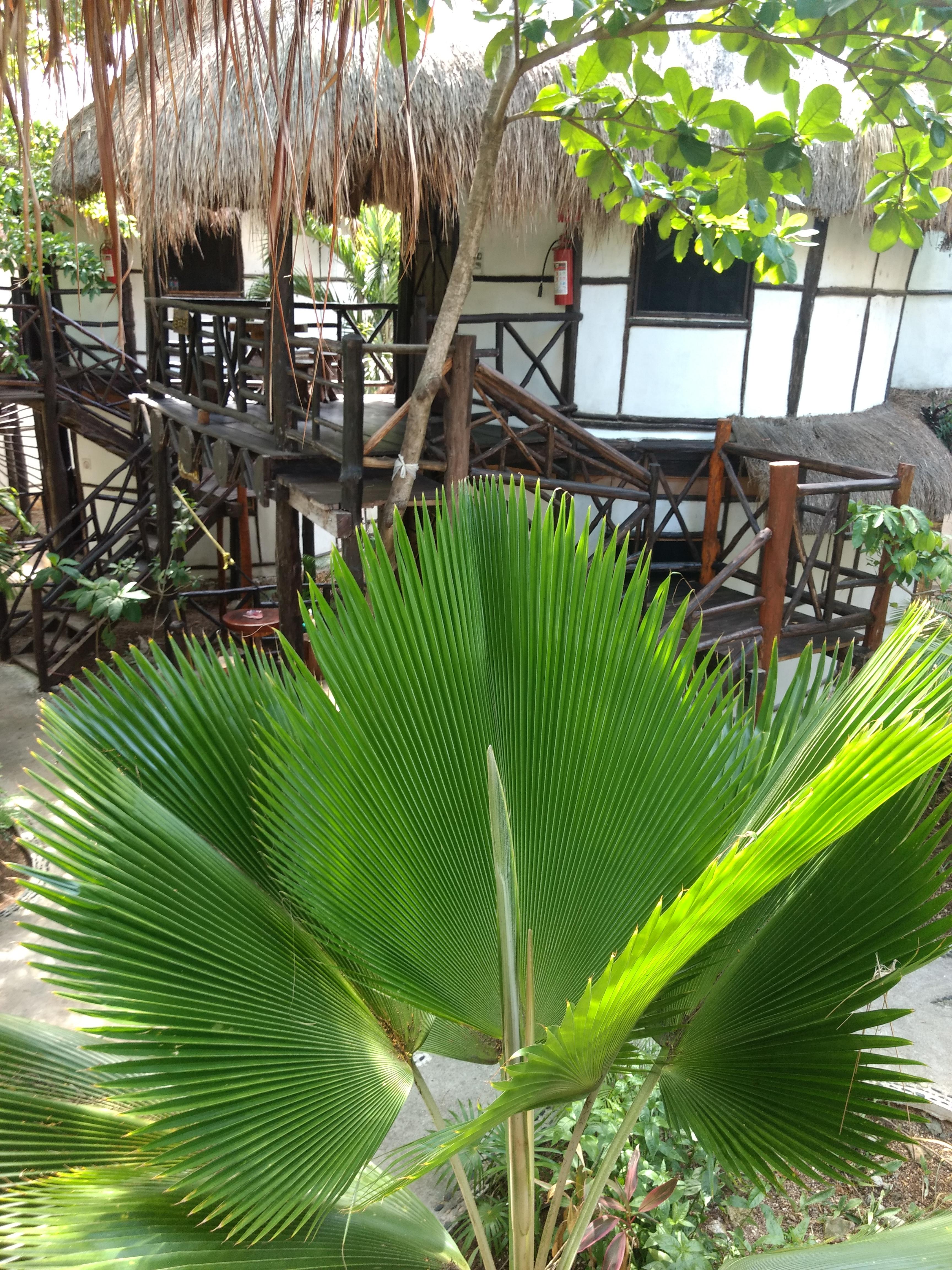 Green Tulum Cabanas & Gardens Luaran gambar